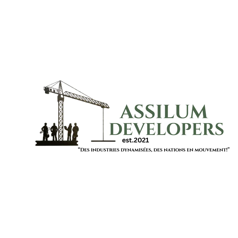 Assilum Developers Ltd
